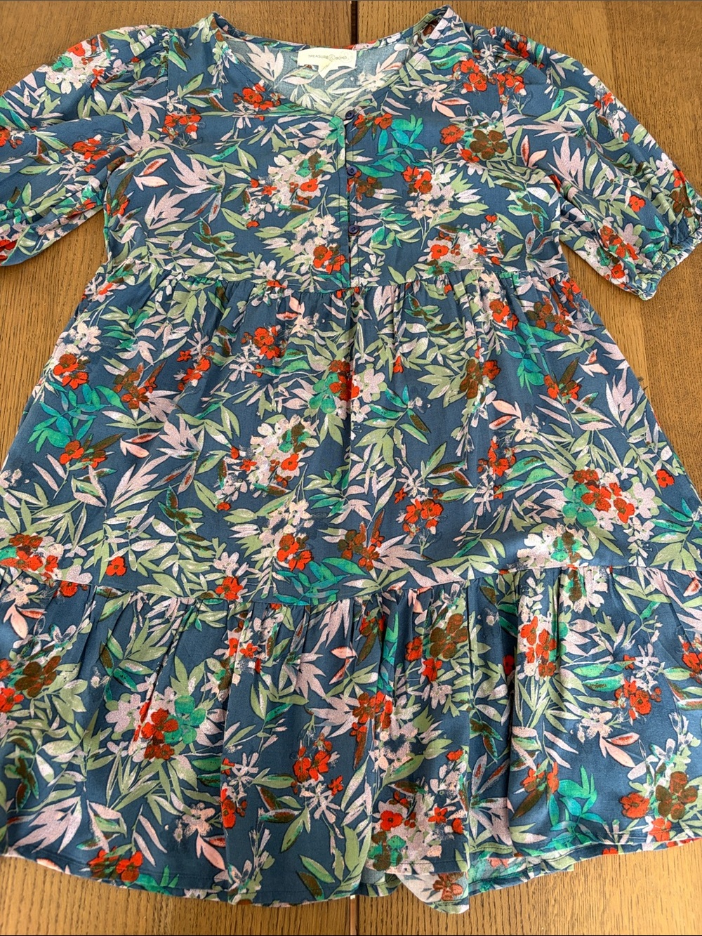 Treasure & Bond Blue Floral Casual Dress with Red & Green Accents